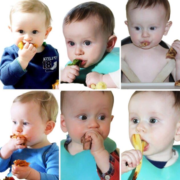 Baby-Led Weaning Data and First Meals Baby-Led Weaning Data and First Meals