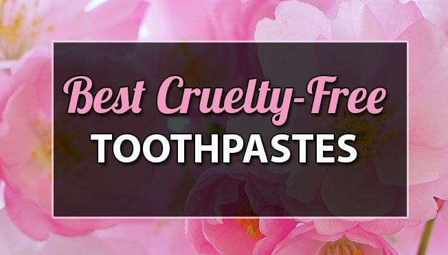 The ten Finest Cruelty Free Toothpastes On The Market, And Why You Ought to Make The Change