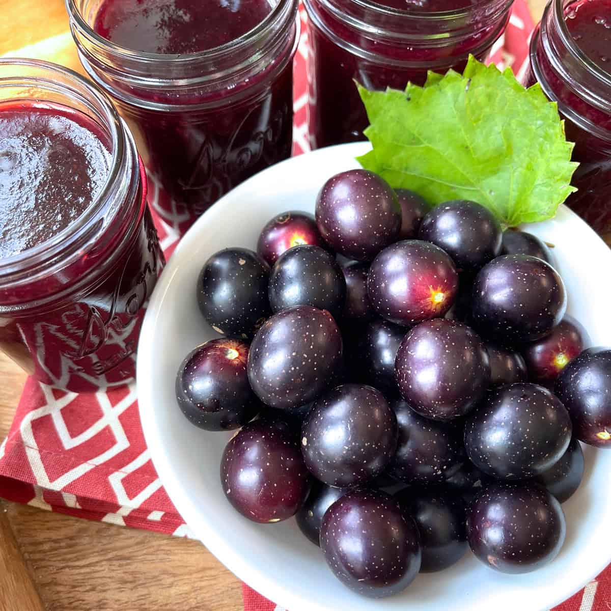 Muscadine Jelly – The Daring Connoisseur Muscadine Jelly – The Daring Connoisseur