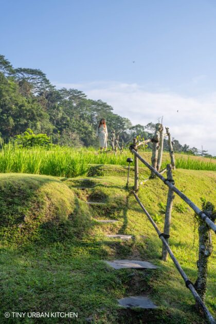 Mandapa Reserve (Ritz Carlton) Bali Indonesia