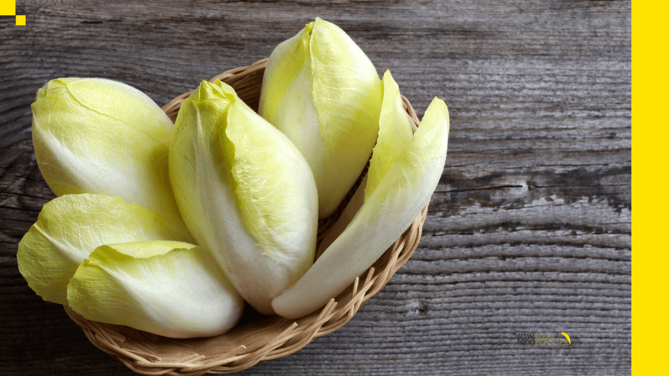 Meals to Eat (and Keep away from) to Assist Combat Most cancers